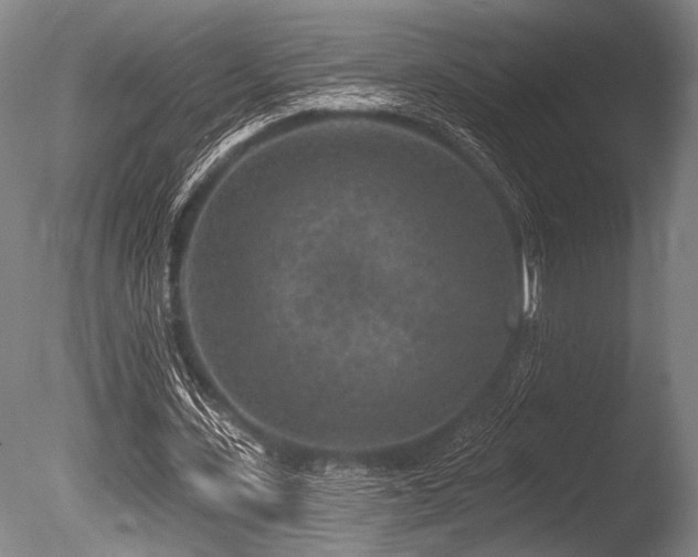 X0000086050531200703231309