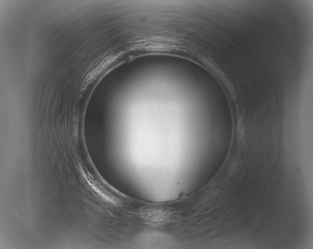 X0000086050533200703231309