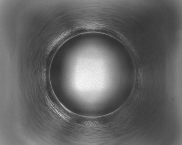 X0000086050535200703231309
