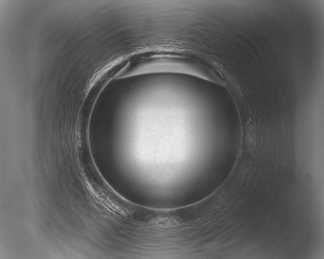 X0000086050536200703231309