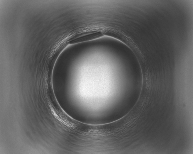 X0000086050538200703231309