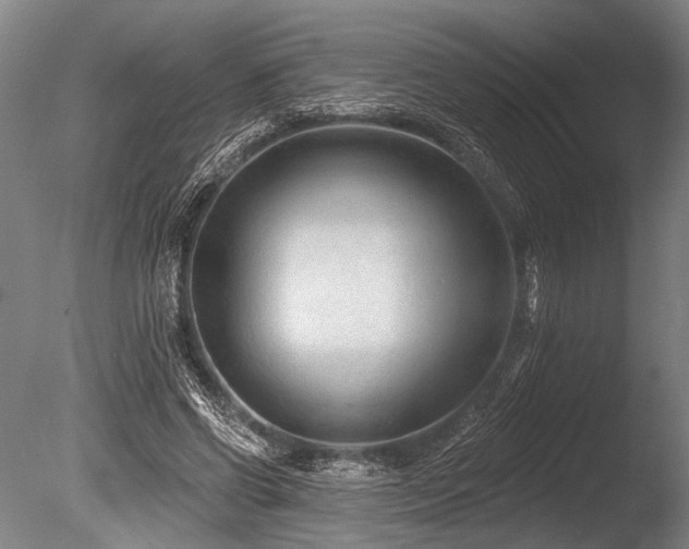 X0000086050542200703231310
