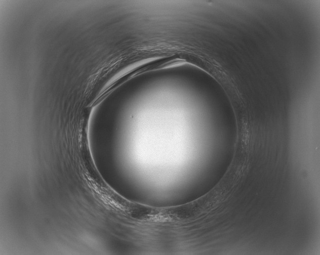 X0000086050545200703231310
