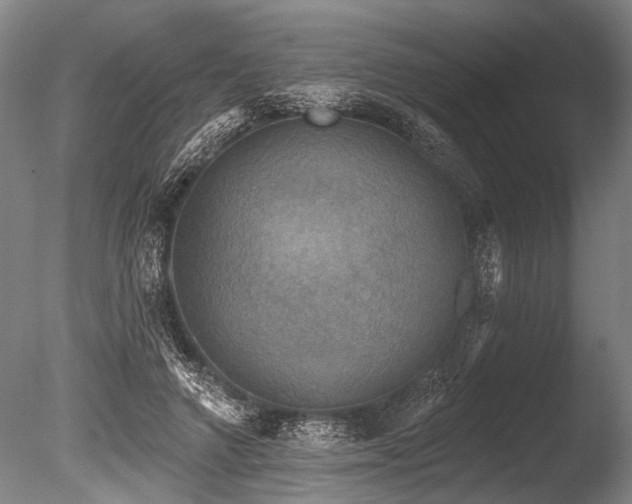 X0000086050546200703231310