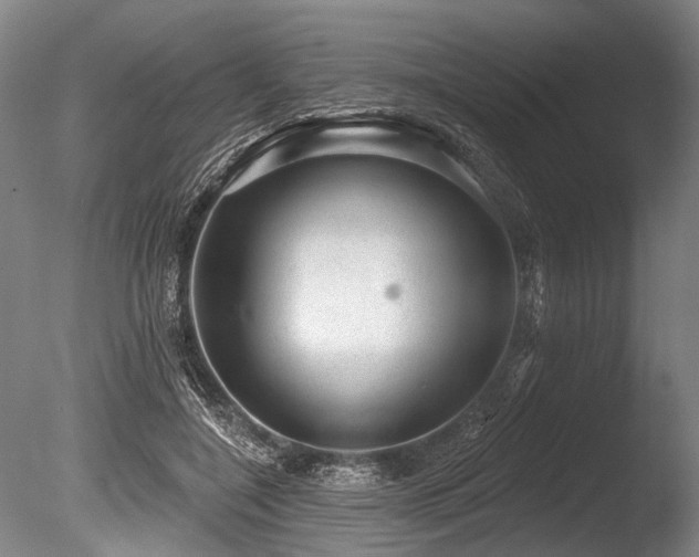 X0000086050548200703231310