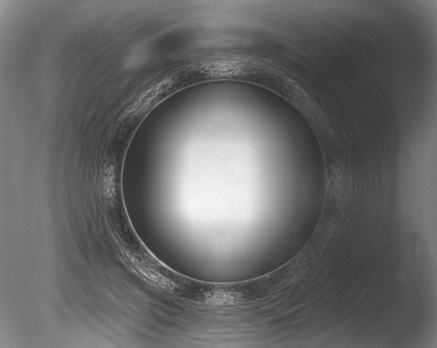 X0000086050549200703231310