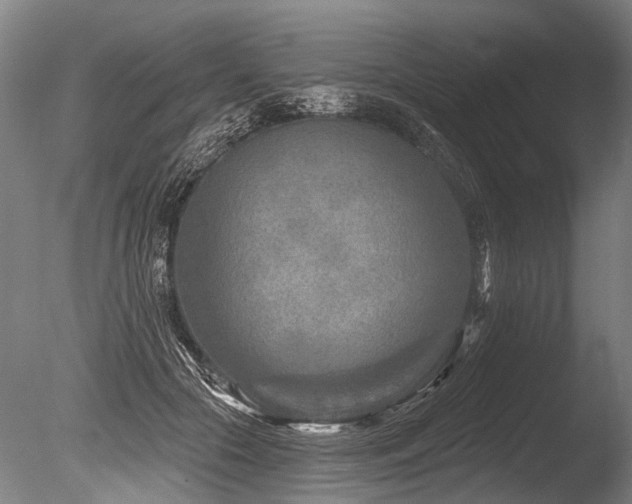X0000086050553200703231310