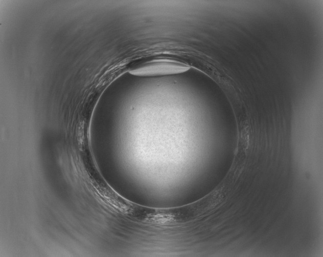 X0000086050554200703231310