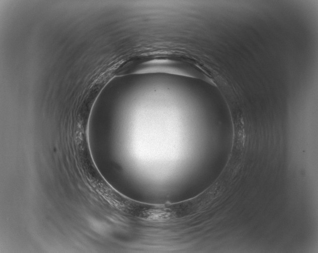X0000086050555200703231310