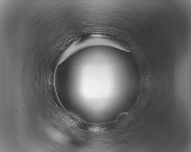 X0000086050561200703231310