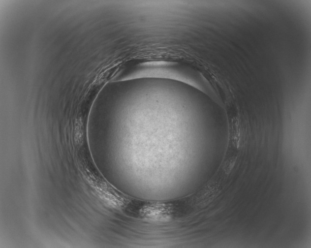X0000086050563200703231310