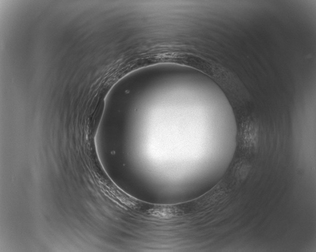 X0000086050567200703231310