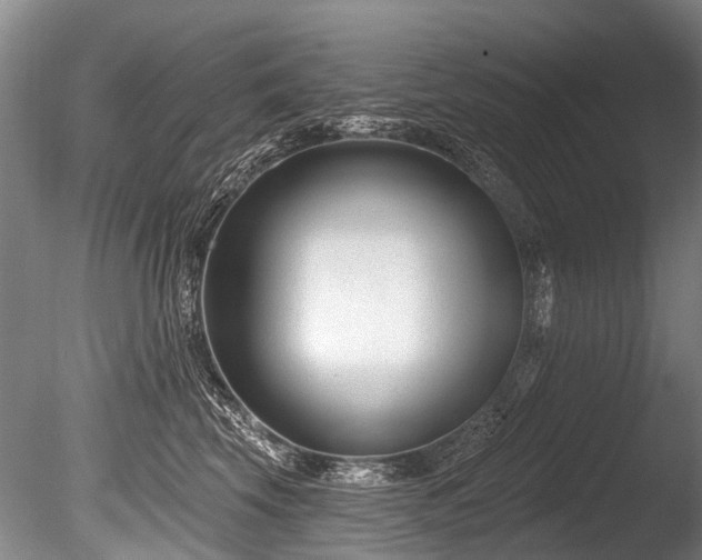 X0000086050569200703231310