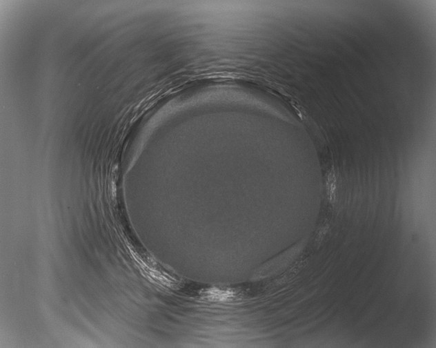 X0000086050570200703231310
