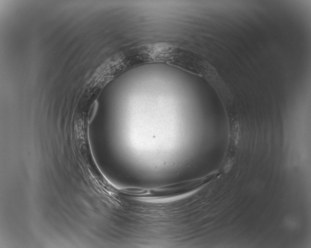 X0000086050571200703231310