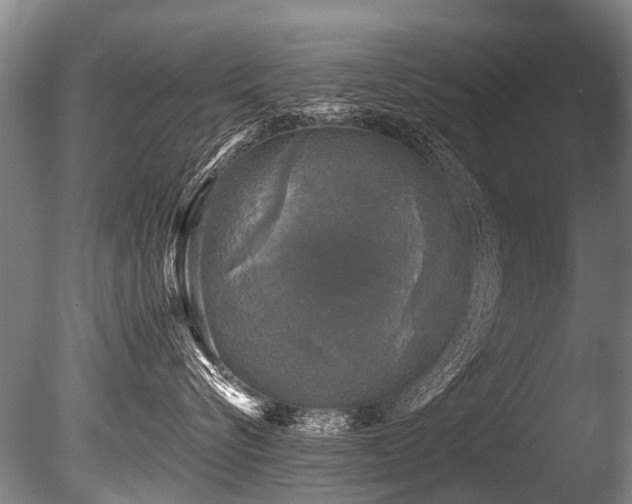 X0000086050576200703231310