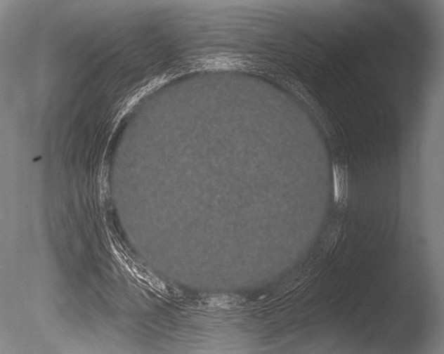 X0000086050579200703231309
