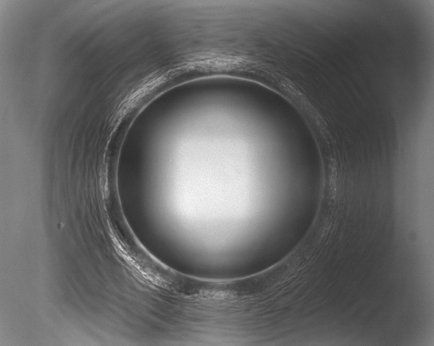 X0000086050582200703231309