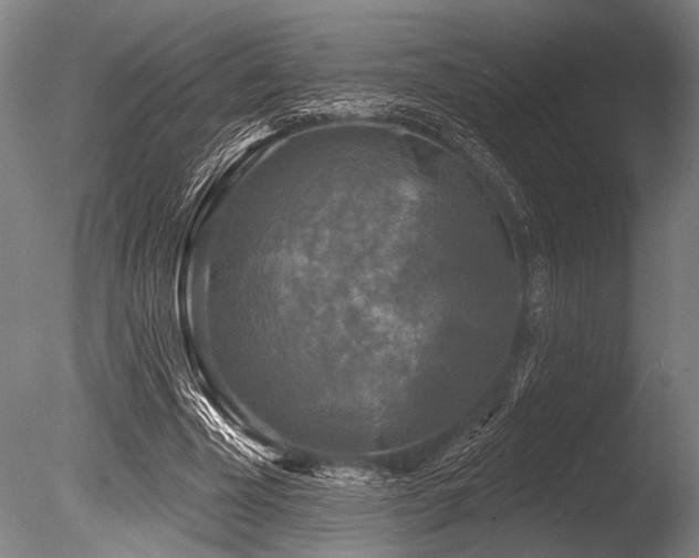 X0000086050585200703231309