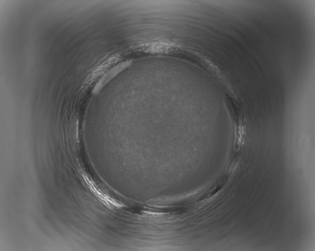 X0000086050589200703231309