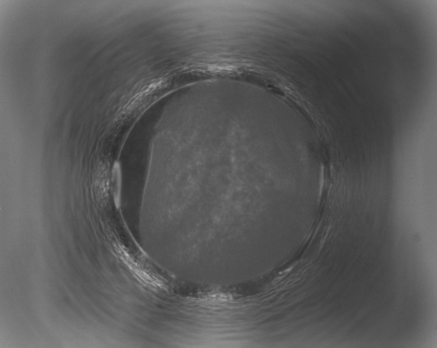 X0000086050593200703231309