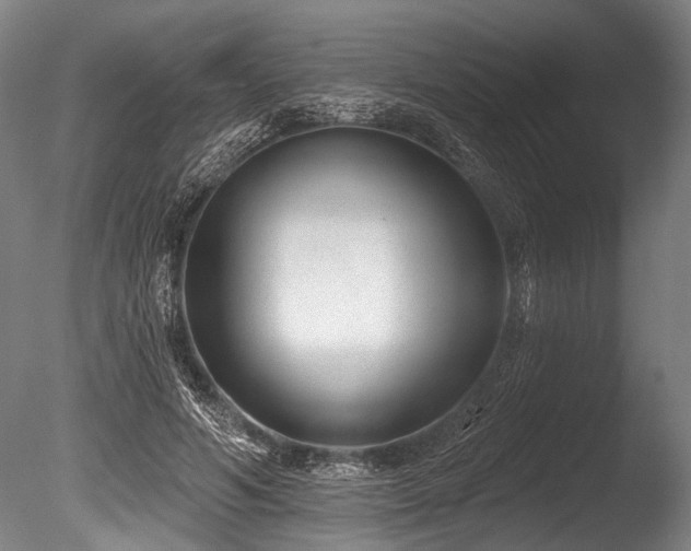 X0000086050594200703231309