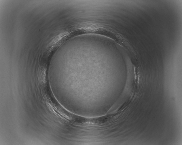 X0000086050596200703231309