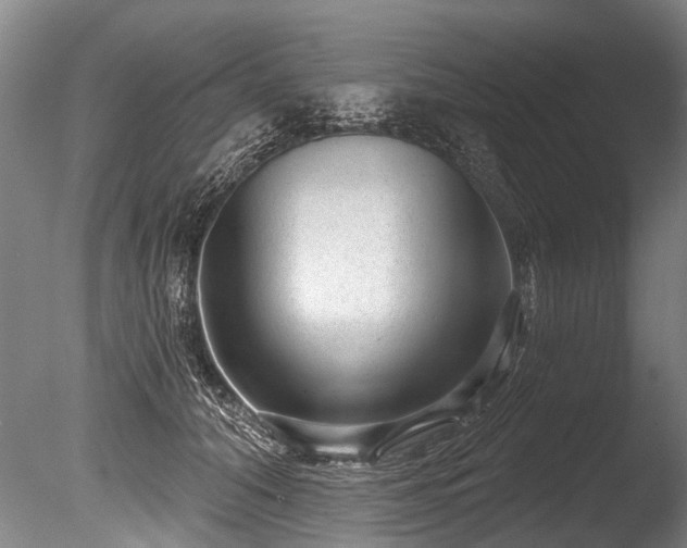 X0000086050608200703231309
