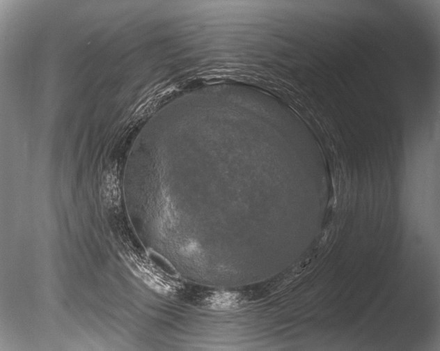 X0000086050609200703231309