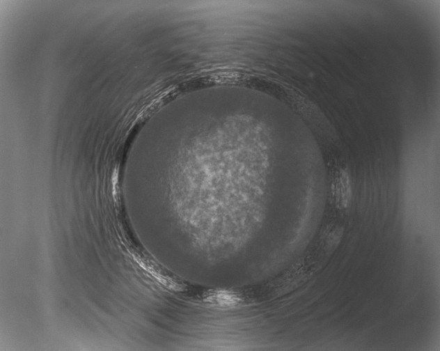 X0000086050610200703231309