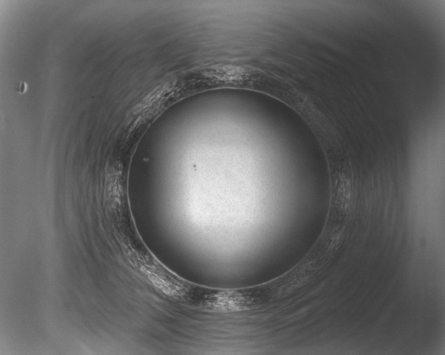 X0000086050612200703231309