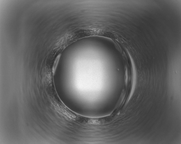 X0000086050613200703231309