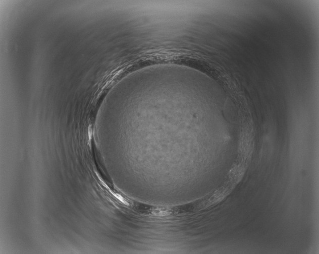 X0000086050624200703231308
