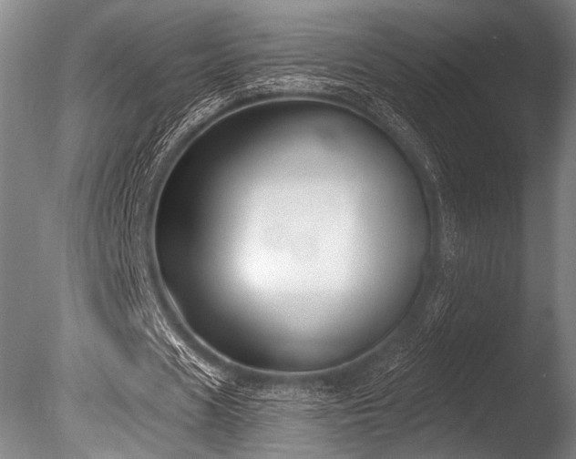 X0000086050625200703231308