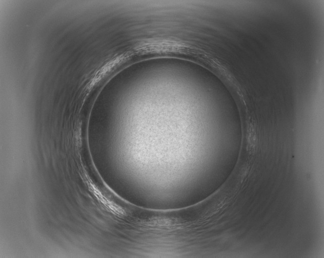 X0000086050629200703231308