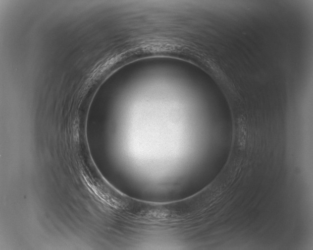 X0000086050631200703231308
