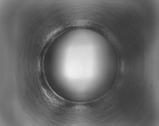 X0000086050636200703231308