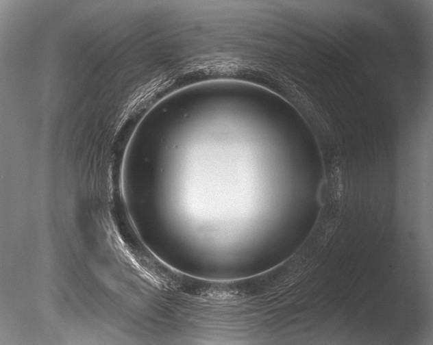 X0000086050638200703231308