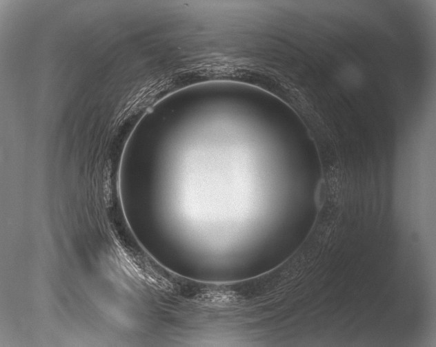 X0000086050642200703231308