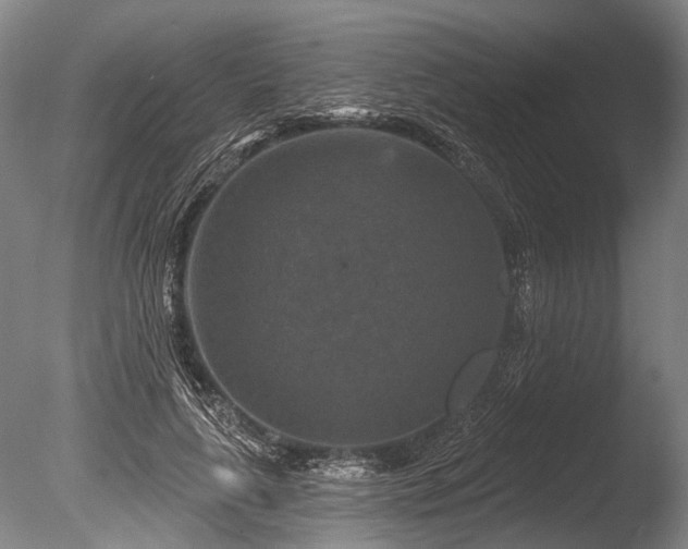 X0000086050643200703231308