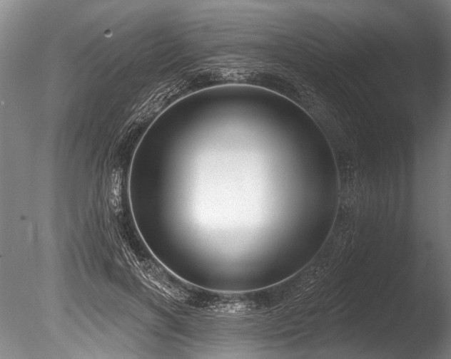 X0000086050646200703231308