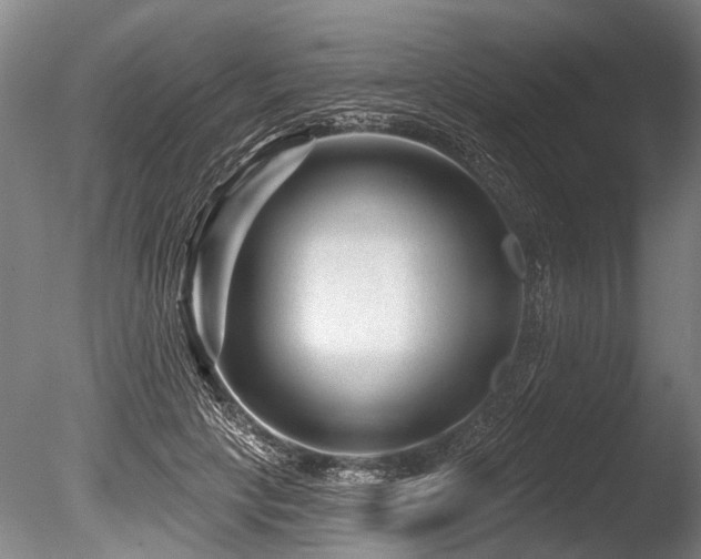 X0000086050649200703231308