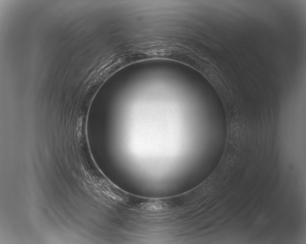 X0000086050652200703231308