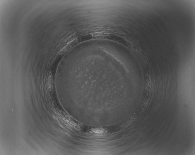 X0000086050659200703231308