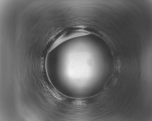 X0000086050664200703231308