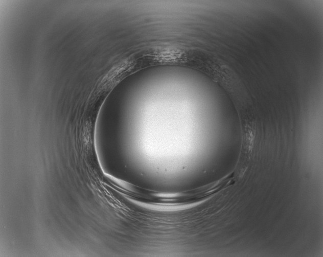 X0000086050665200703231308