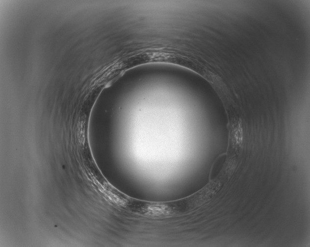 X0000086050666200703231308