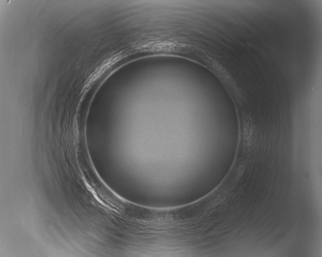 X0000086050674200703231308