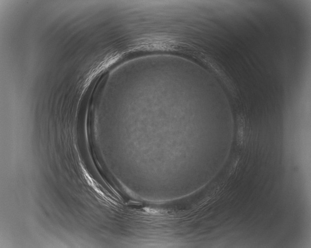 X0000086050677200703231308
