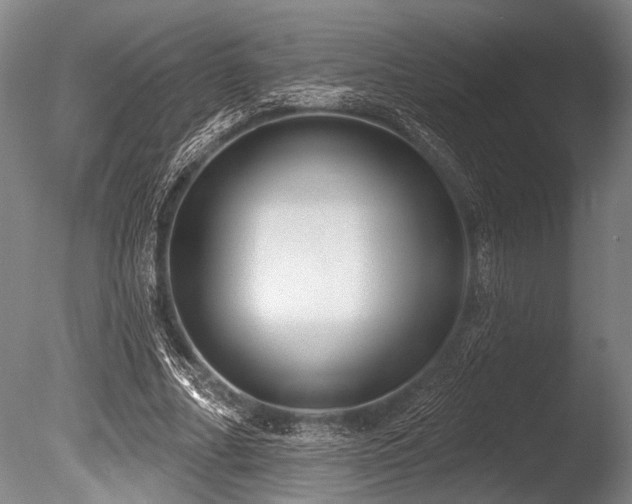 X0000086050682200703231307